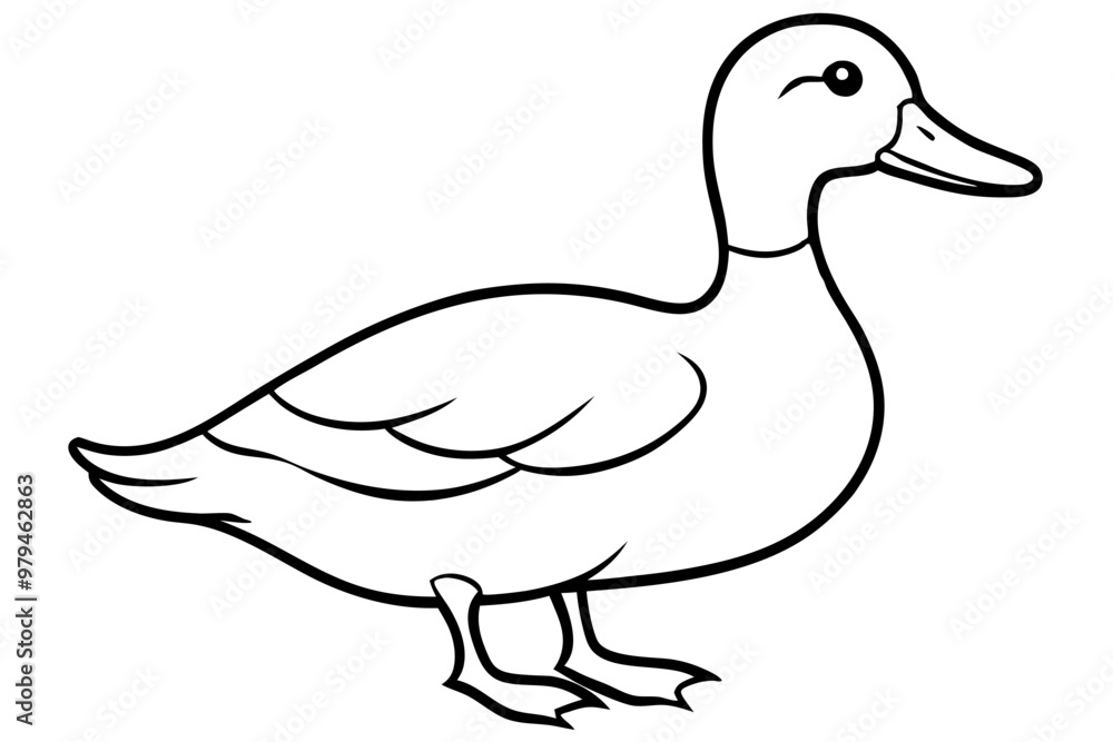 A duck silhouette vector ,line art icon illustration on white background. A duck silhouette vector ,line art icon illustration on white background.
