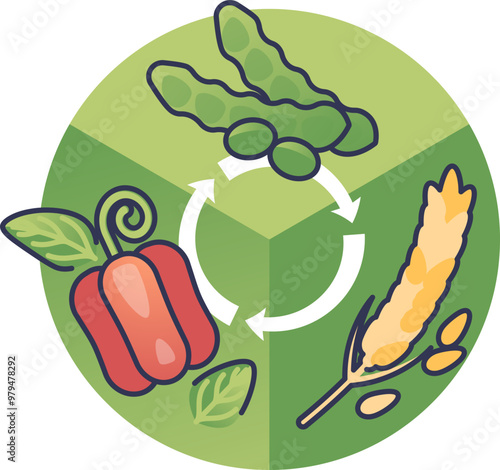 Illustration of crop rotation with pepper, soybean, and wheat, symbolizing sustainable farming practices.