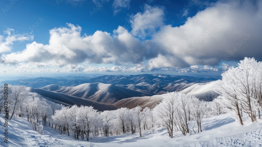 Snowy Mountain Landscape with Frosty Trees Snowy Mountain Landscape with Frosty Trees