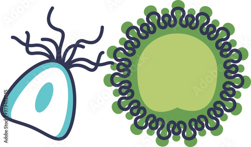 Illustration of plankton, featuring a single-celled organism and a green circular structure, symbolizing marine microorganisms.