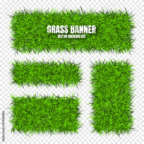 Green grass banners, background. Field, meadow texture, grassy landscape. Organic, bio, eco and natural lifestyle design elements. Ecology and environment protection. Vector illustration