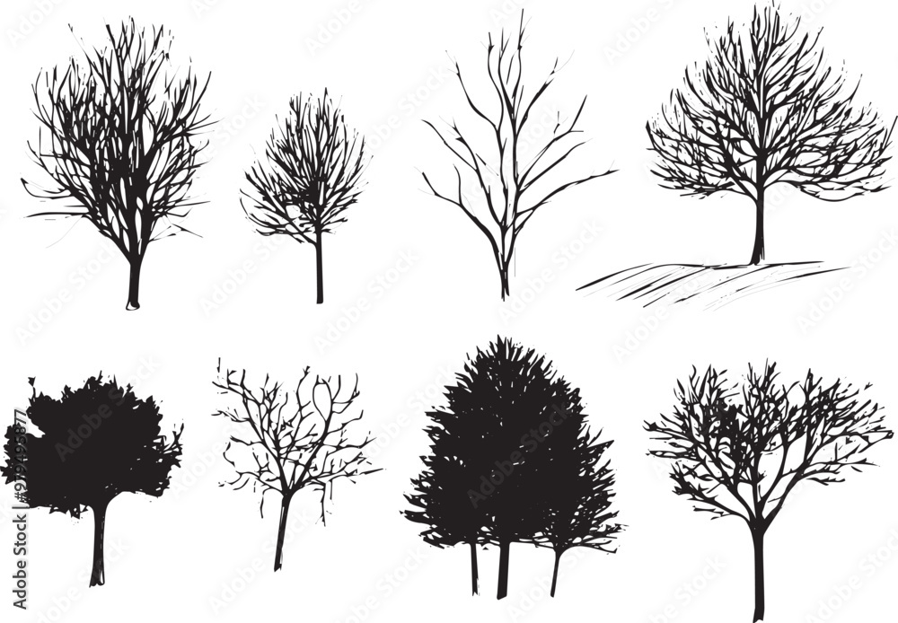Obraz premium Set Trees. Hand drawn vector illustration