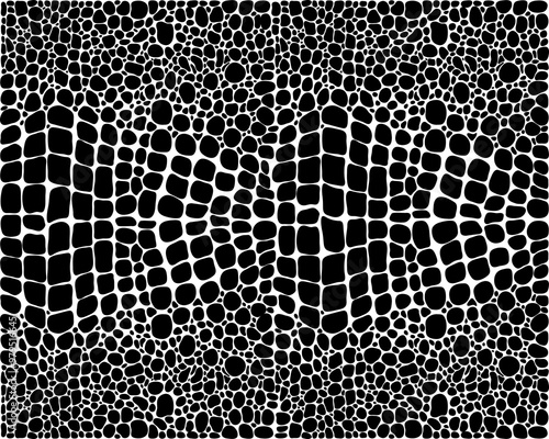 Seamless pattern of alligator skin on a white background		
