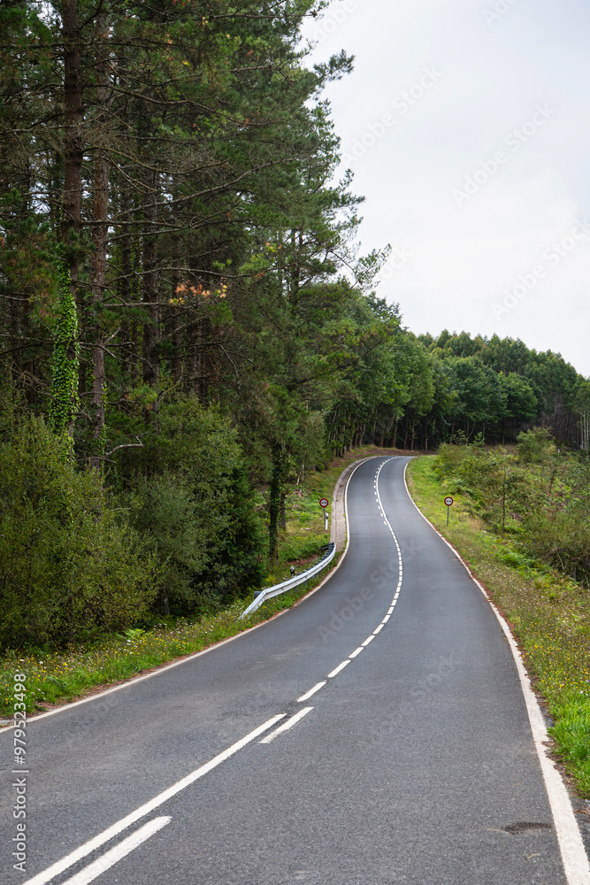 Curved road between forest trees and countryside mountains Curved road between forest trees and countryside mountains