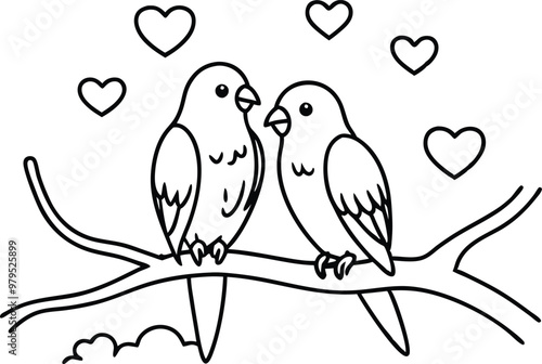 Photography two birds on a branch