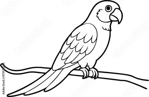 Parrot Coloring Book Fun: Curved Beak Sitting Parrot Vector Design
