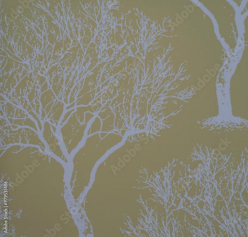 tree shadows beige background 