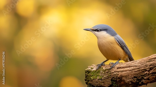  A small bird sits on a tree branch against a hazy backdrop of yellow and green foliage