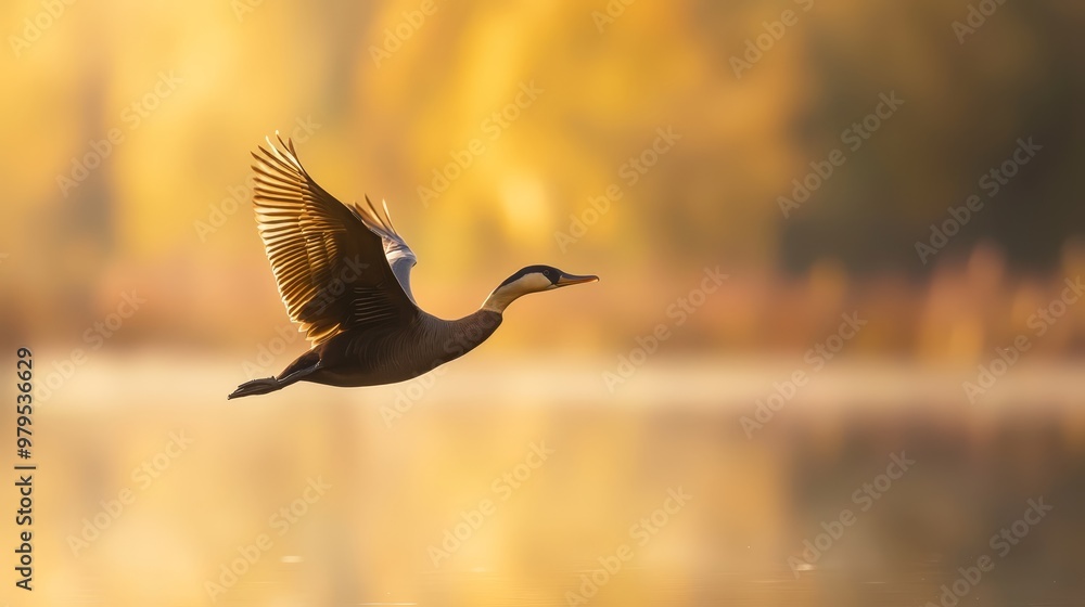 A bird soaring above a tranquil body of water, surrounded by a lush forest, and framed by a vibrant yellow sky A bird soaring above a tranquil body of water, surrounded by a lush forest, and framed by a vibrant yellow sky