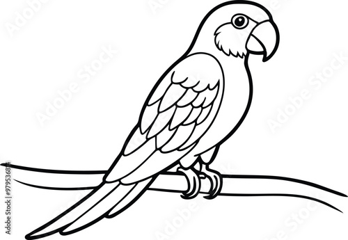 Parrot with a Curved Beak Sitting: Printable Vector for Coloring Book Fun

