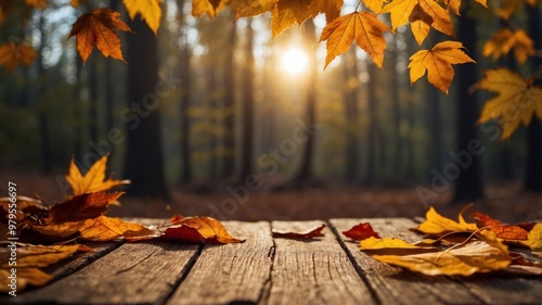 Autumn forest scene with fallen leaves on wooden planks