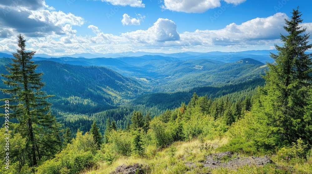 Breathtaking view from a mountain viewpoint, with a wide expanse of forested valleys and distant peaks. Breathtaking view from a mountain viewpoint, with a wide expanse of forested valleys and distant peaks.