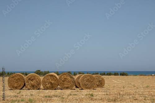 Golden hay bales in a field by the sea