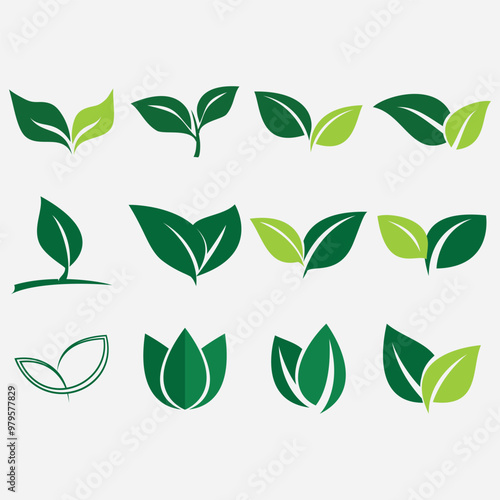 Collection of leaf logos