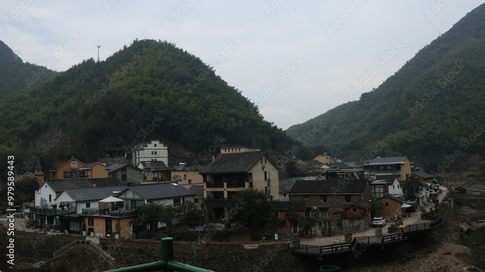 Fototapeta premium forest, tree, landscape, nature, path, autumn, green, mist, mountain, trail, outdoors