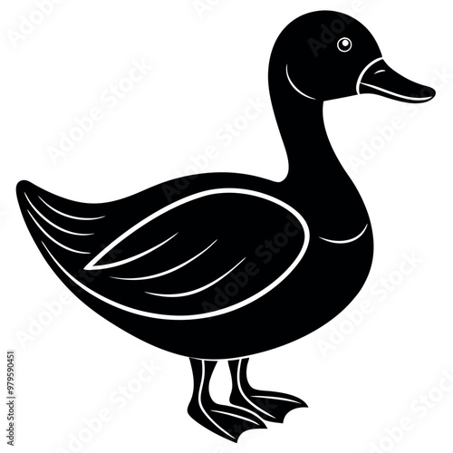       Beautiful duck silhouette vector illustration.
