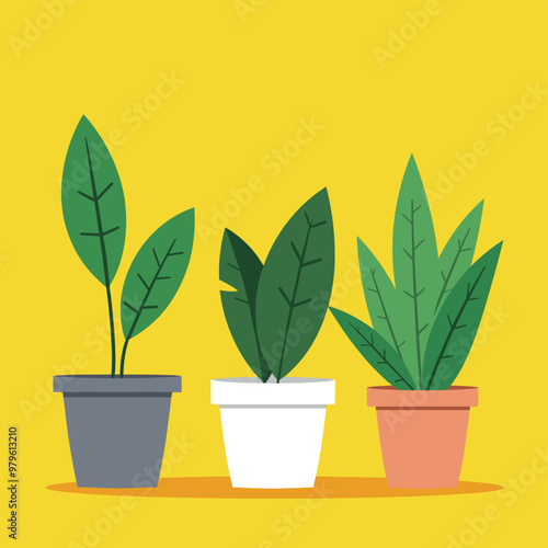 Three potted indoor plants with green leaves set against a bright yellow background.