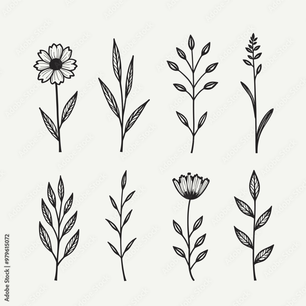 Illustration of various black and white botanical plants and flowers with intricate details on a light background. Illustration of various black and white botanical plants and flowers with intricate details on a light background.