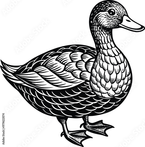 hand drawn vector illustration of a duck