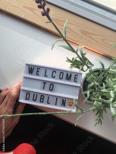 Canvas Print hand holding a window with a flower and a sign welcome dublin