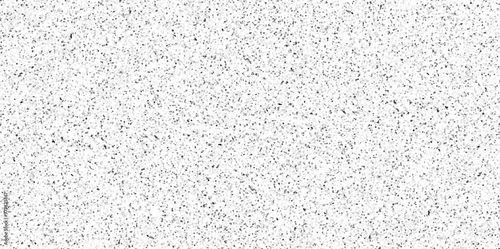 White granite terrazzo floor seamless pattern .concrete textured surface .Grain dots white wall background texture .stone granite black white background marble surface pattern. White granite terrazzo floor seamless pattern .concrete textured surface .Grain dots white wall background texture .stone granite black white background marble surface pattern.