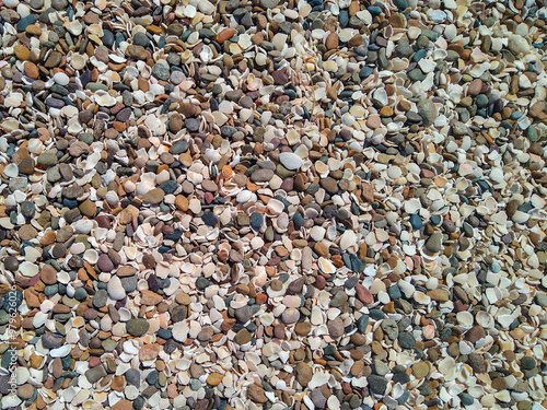 Beach pebbles and shells top view photo