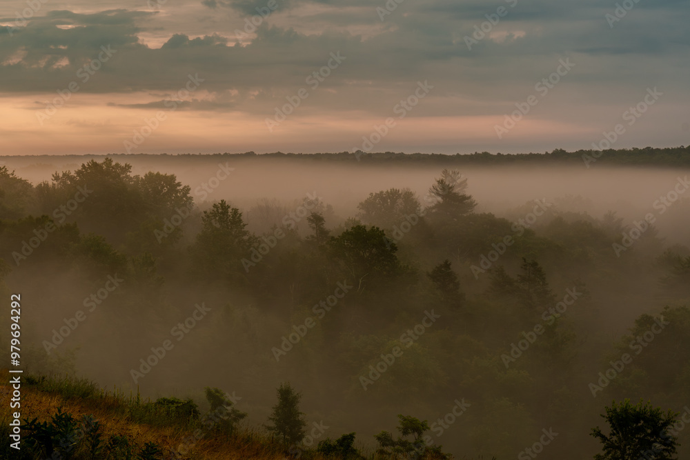 Morning fog over the valley Morning fog over the valley