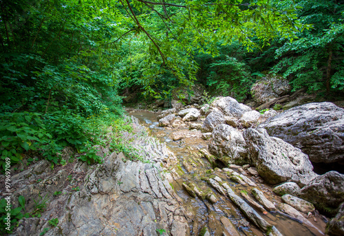 shallow mountain river, staritsa and nature walks, spring day photo