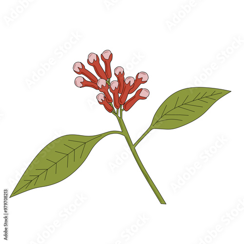 Illustration of young cloves with red color and green leaves