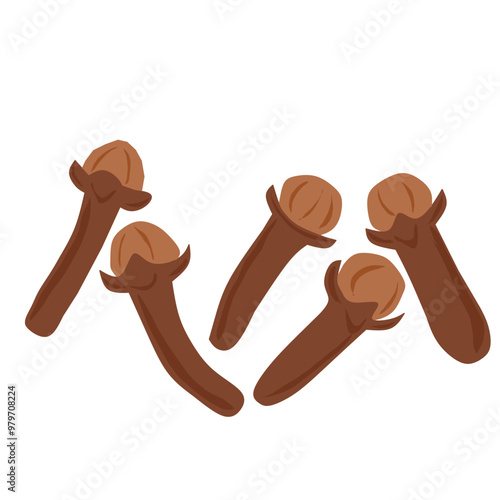 Illustration of brown dry cloves