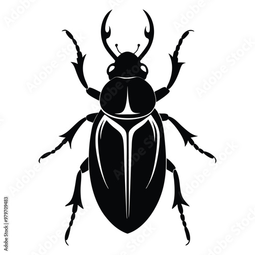 black beetle silhouette style with white background