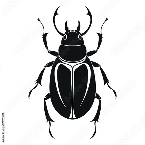 stag beetle isolated on white