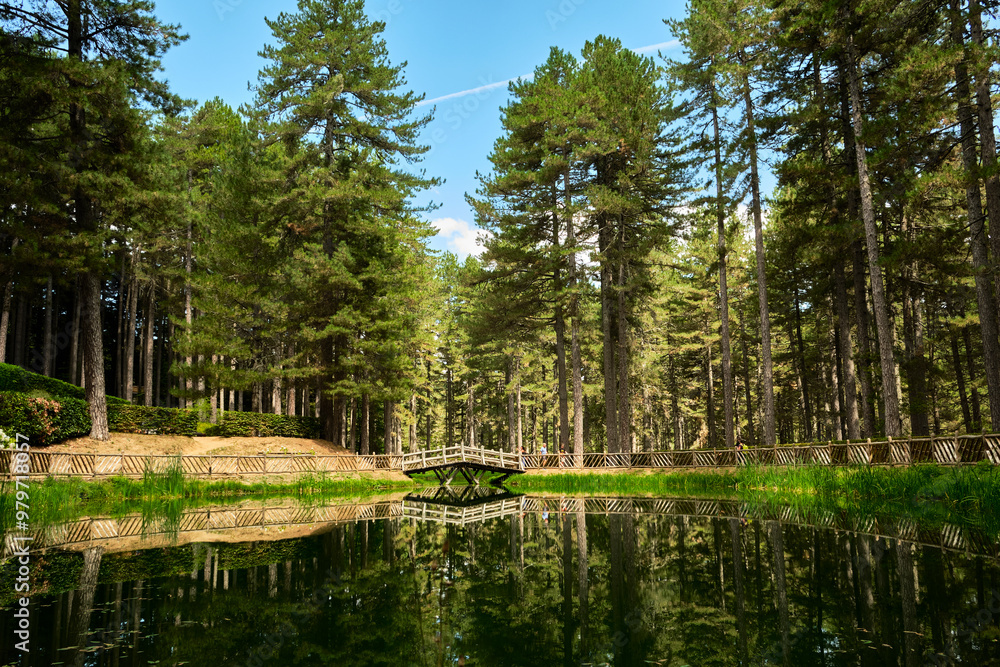 Camminate Lungo Il Laghetto Del Parco Nazionale Della Sila Piccola Camminate Lungo Il Laghetto Del Parco Nazionale Della Sila Piccola