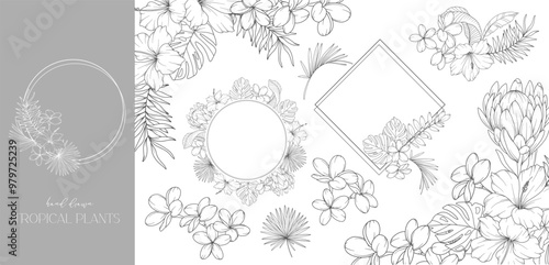Floral Frame. Line Art Tropical Plants. Floral Line Art. Flower Coloring Page. Fine Line Tropical Greenery illustration. Hand Drawn flowers. Tropical Wedding invitation flowers