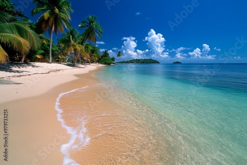 Trinidad and Tobago's quiet, untouched beaches on the northeast coast of Tobago, perfect for a peaceful escape photo