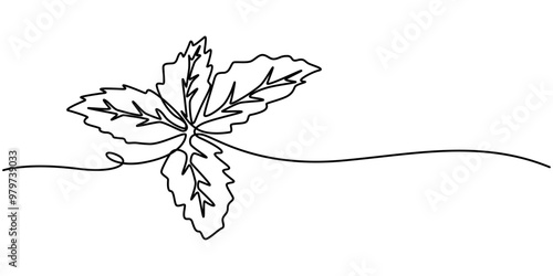 Mint, spearmint vector illustration.Background for label design. One continuous line art drawing illustration with lettering organic mint, Continuous Line Art Illustration. Mint or Spearmint