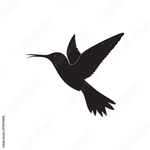 vector of black silhouette of hummingbird photo