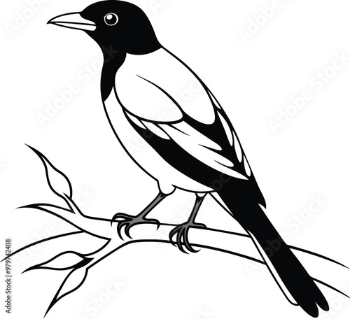 Classic Beautiful Myna bird logo icon vector illustration capturing wildlife essence with a detailed beak and feather design photo