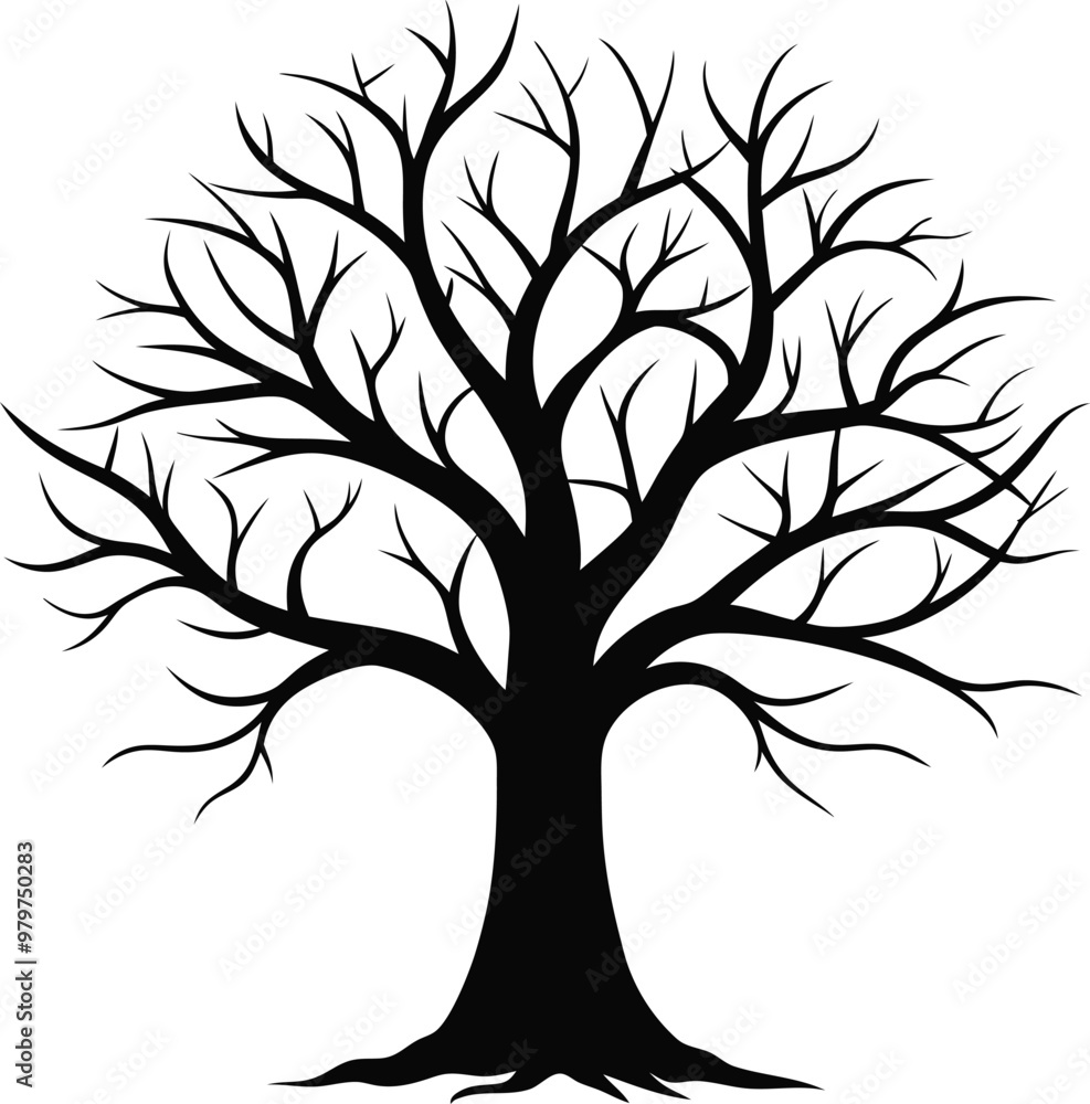 Obraz premium Silhouette of a natural tree without leaf