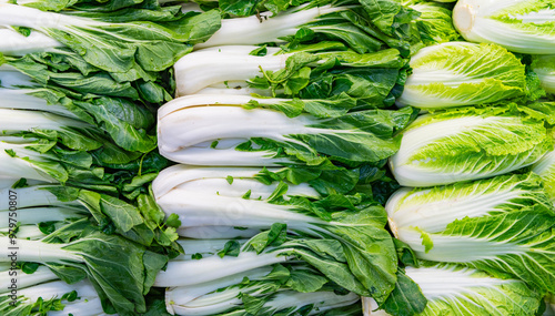 Εκτύπωση καμβά Bok choy background