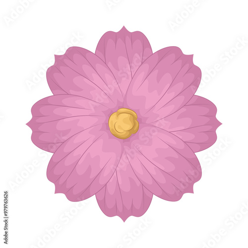 Illustration of cosmos flower  photo