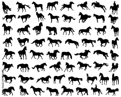 Big set of horses silhouettes on the white background	