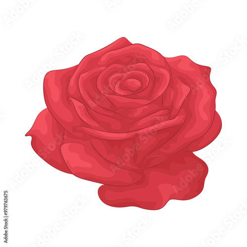 Illustration of rose  photo