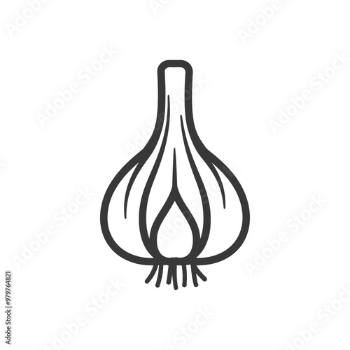 Line Drawing Illustration of a Single Garlic Bulb