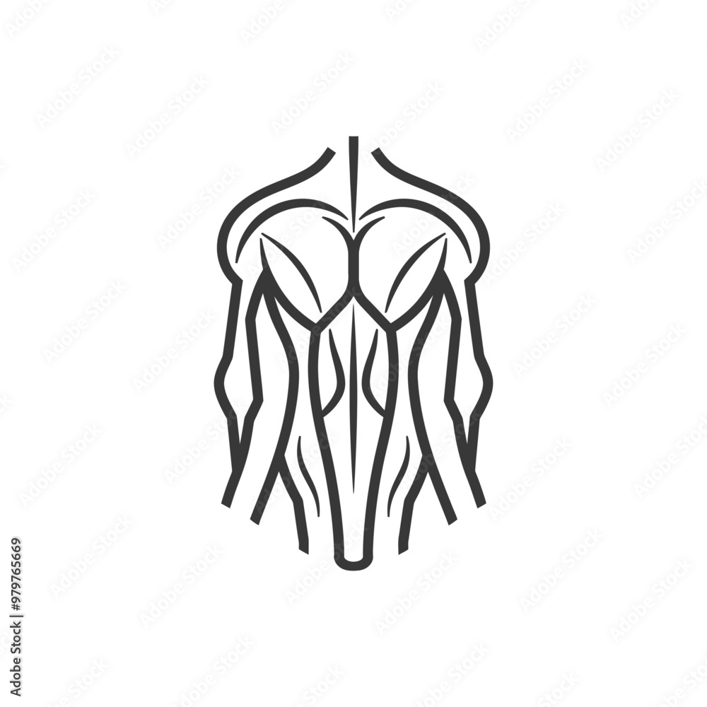 Line Art Illustration of Back Muscles Line Art Illustration of Back Muscles