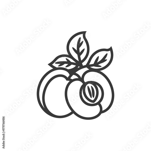 Line art illustration of two peaches with leaves
