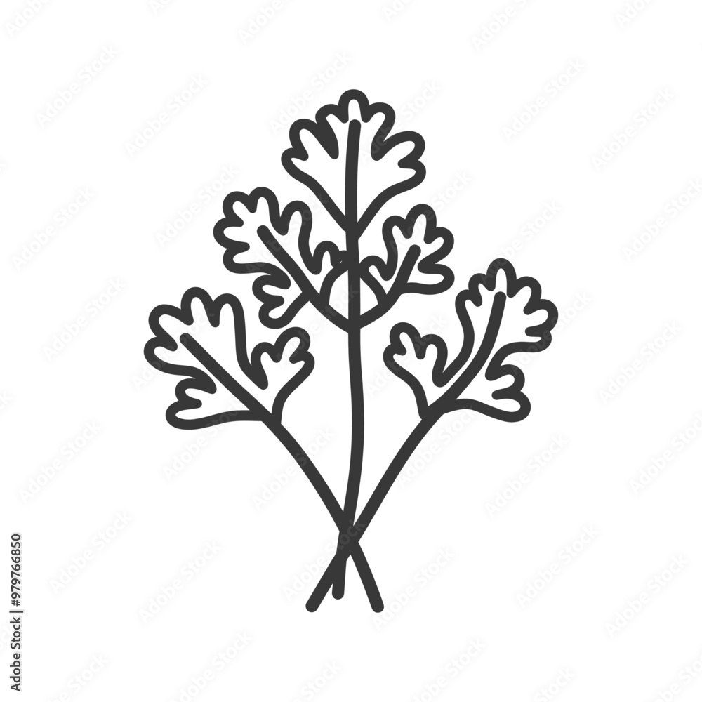 Obraz premium Line drawing illustration of a bunch of cilantro
