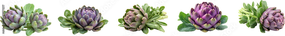 single artichoke with its tightly packed leaves single artichoke with its tightly packed leaves