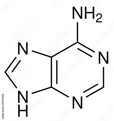 Adenin DNA Biochemie Strukturformel Vektor