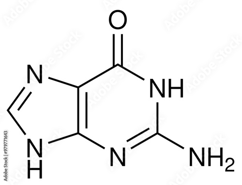Guanin DNA Biochemie Strukturformel Vektor